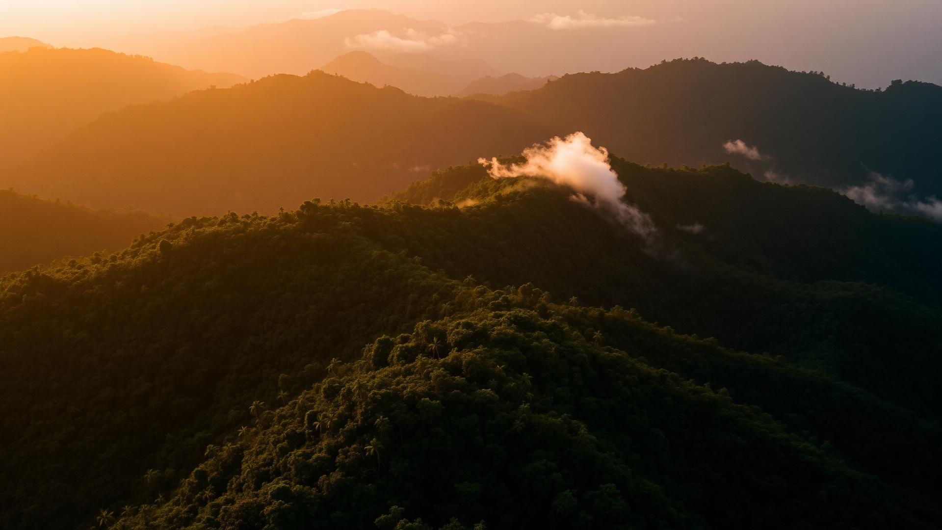 Aerial view of misty forested hills in Sierra Leone at golden hour